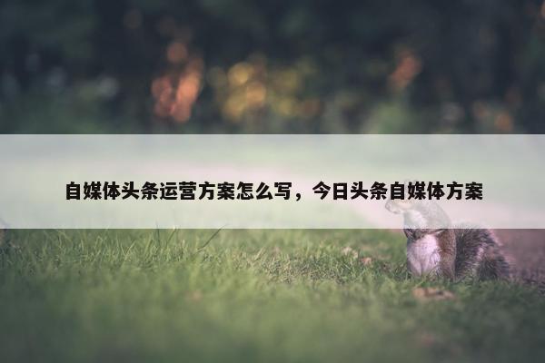 自媒体头条运营方案怎么写，今日头条自媒体方案