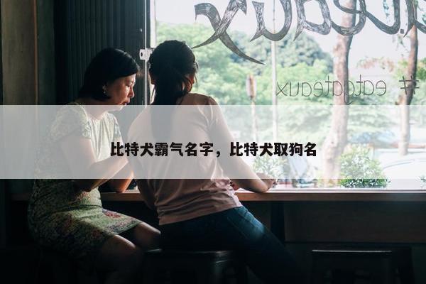 比特犬霸气名字，比特犬取狗名
