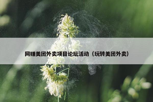 网赚美团外卖项目论坛活动（玩转美团外卖）