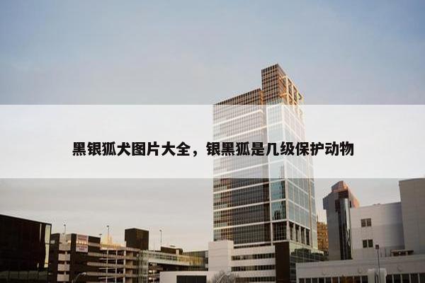 黑银狐犬图片大全，银黑狐是几级保护动物