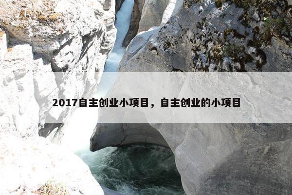 2017自主创业小项目，自主创业的小项目