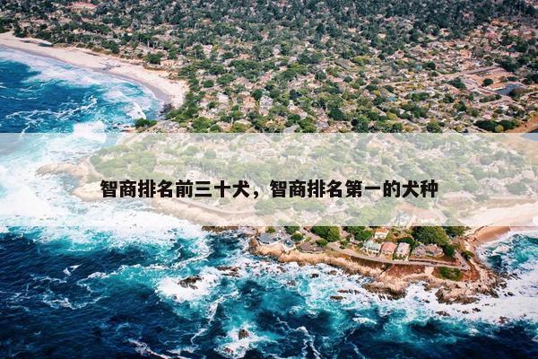 智商排名前三十犬，智商排名第一的犬种