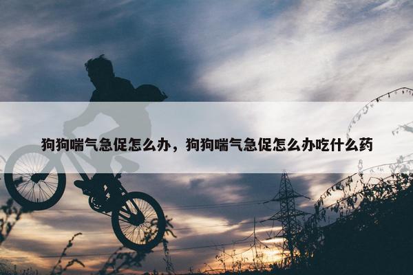狗狗喘气急促怎么办，狗狗喘气急促怎么办吃什么药