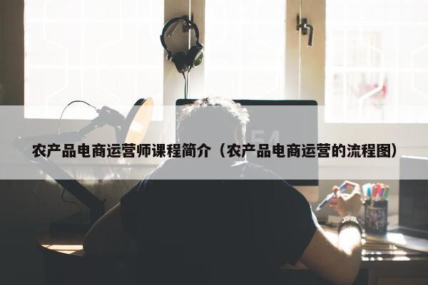 农产品电商运营师课程简介（农产品电商运营的流程图）