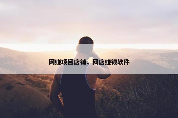 网赚项目店铺，网店赚钱软件
