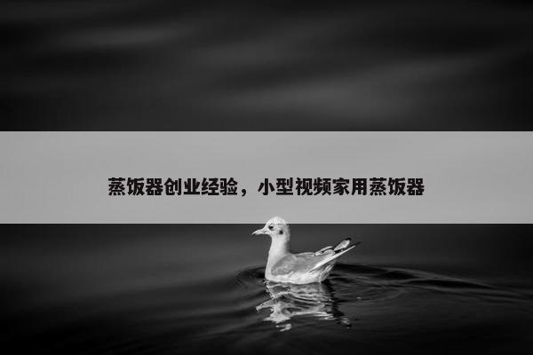 蒸饭器创业经验，小型视频家用蒸饭器