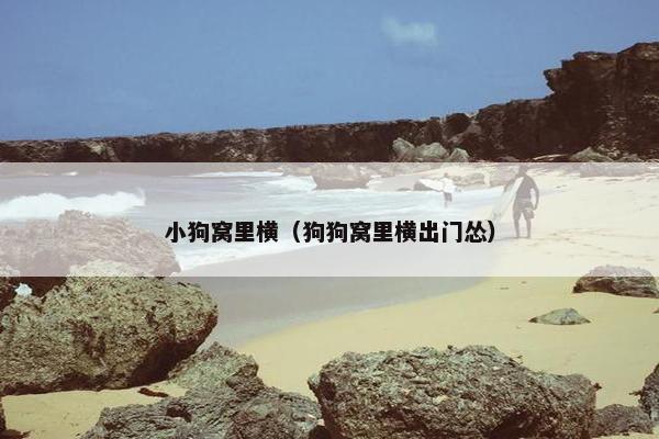小狗窝里横（狗狗窝里横出门怂）