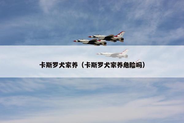 卡斯罗犬家养（卡斯罗犬家养危险吗）