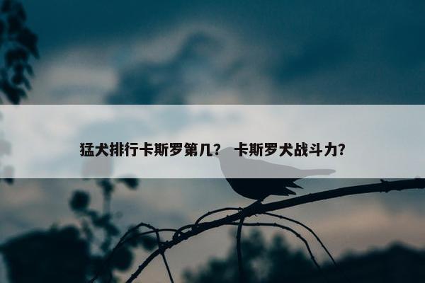 猛犬排行卡斯罗第几？ 卡斯罗犬战斗力？