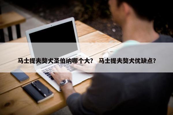 马士提夫獒犬圣伯纳哪个大？ 马士提夫獒犬优缺点？