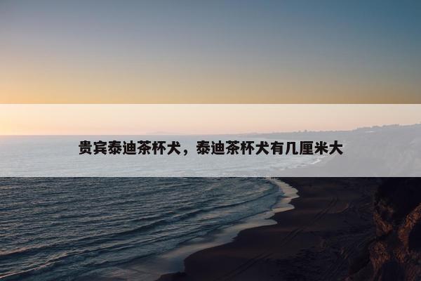 贵宾泰迪茶杯犬，泰迪茶杯犬有几厘米大