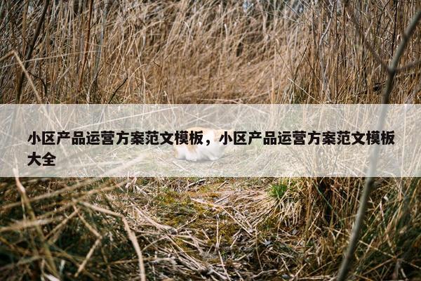 小区产品运营方案范文模板，小区产品运营方案范文模板大全