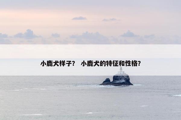 小鹿犬样子？ 小鹿犬的特征和性格？