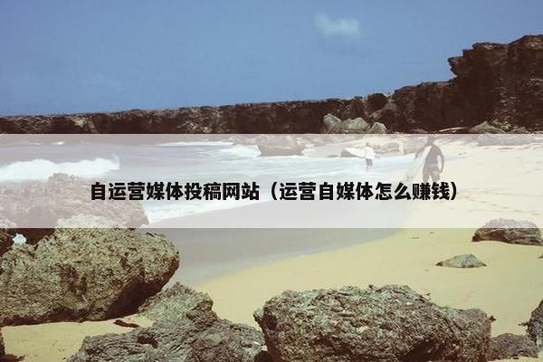 自运营媒体投稿网站（运营自媒体怎么赚钱）