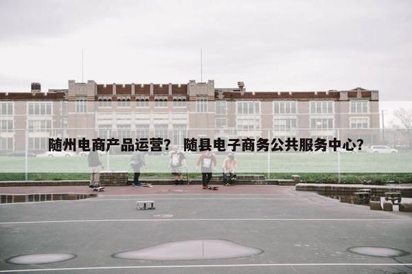 随州电商产品运营？ 随县电子商务公共服务中心？