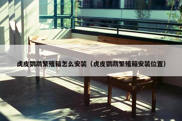 虎皮鹦鹉繁殖箱怎么安装（虎皮鹦鹉繁殖箱安装位置）