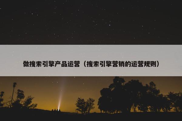 做搜索引擎产品运营（搜索引擎营销的运营规则）
