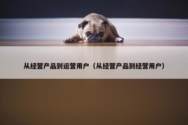 从经营产品到运营用户（从经营产品到经营用户）