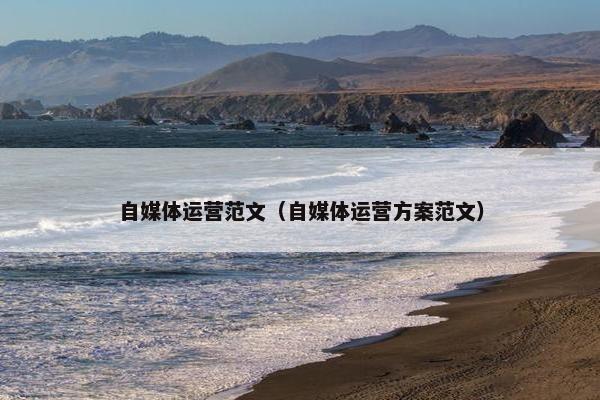 自媒体运营范文（自媒体运营方案范文）