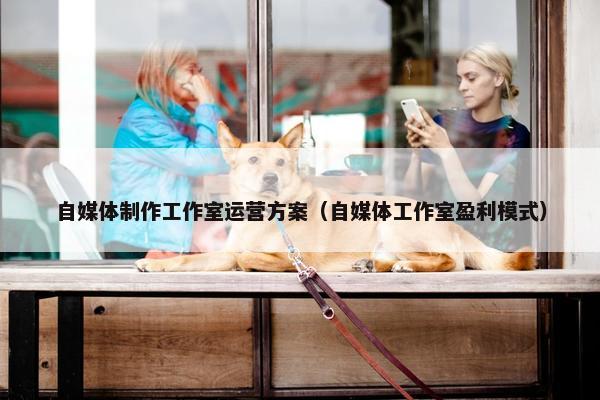 自媒体制作工作室运营方案（自媒体工作室盈利模式）