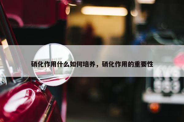 硝化作用什么如何培养，硝化作用的重要性