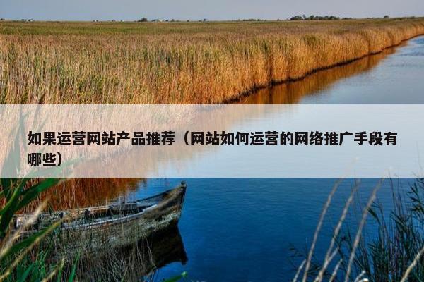 如果运营网站产品推荐（网站如何运营的网络推广手段有哪些）