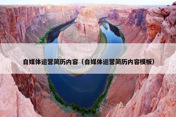 自媒体运营简历内容（自媒体运营简历内容模板）