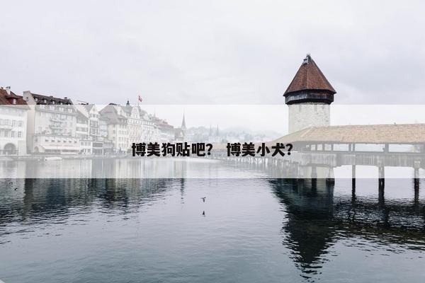 博美狗贴吧？ 博美小犬？