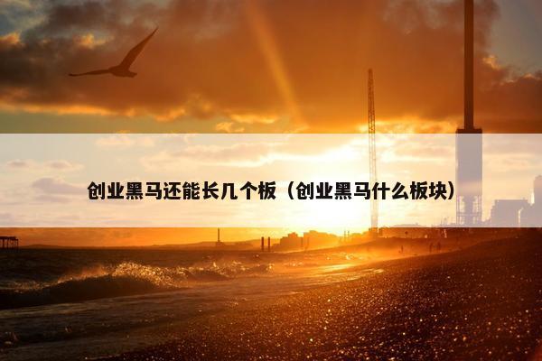 创业黑马还能长几个板（创业黑马什么板块）