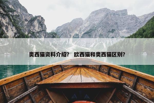 奥西猫资料介绍？ 欧西猫和奥西猫区别？