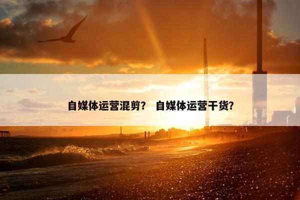 自媒体运营混剪？ 自媒体运营干货？