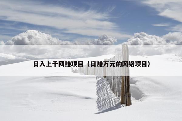 日入上千网赚项目（日赚万元的网络项目）