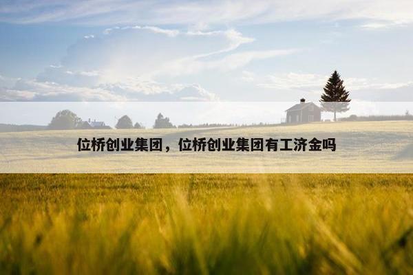 位桥创业集团，位桥创业集团有工济金吗
