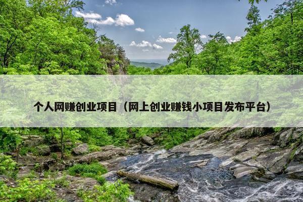 个人网赚创业项目（网上创业赚钱小项目发布平台）