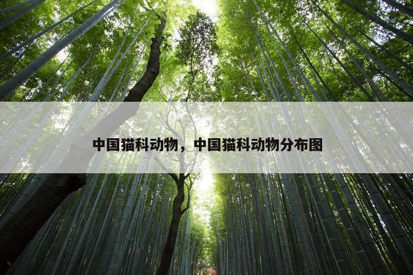 中国猫科动物，中国猫科动物分布图