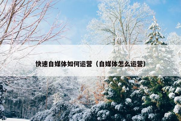 快速自媒体如何运营（自媒体怎么运营）