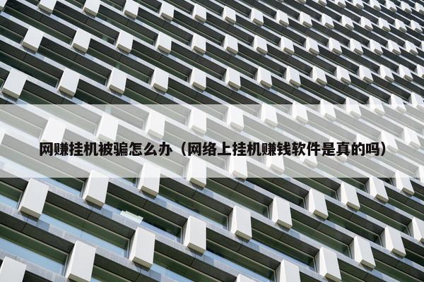 网赚挂机被骗怎么办（网络上挂机赚钱软件是真的吗）