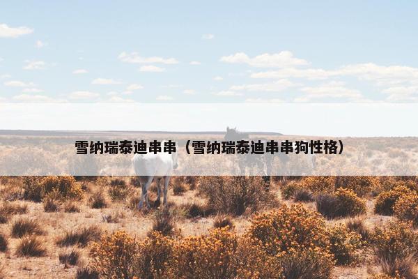 雪纳瑞泰迪串串（雪纳瑞泰迪串串狗性格）