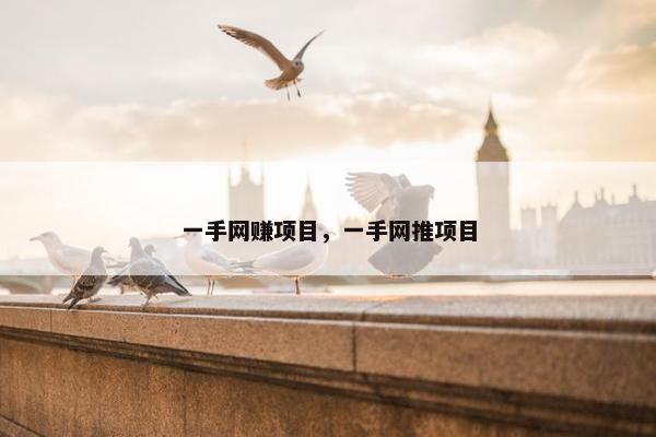 一手网赚项目，一手网推项目