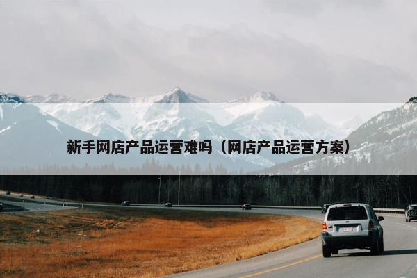 新手网店产品运营难吗（网店产品运营方案）