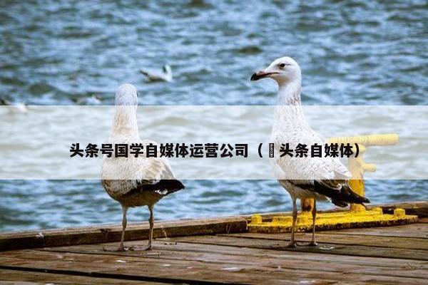 头条号国学自媒体运营公司（恵头条自媒体）