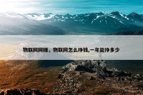 物联网网赚，物联网怎么挣钱,一年能挣多少