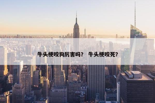 牛头梗咬狗厉害吗？ 牛头梗咬死？