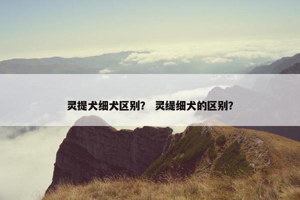 灵提犬细犬区别？ 灵缇细犬的区别？