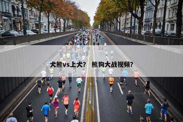 犬熊vs上犬？ 熊狗大战视频？