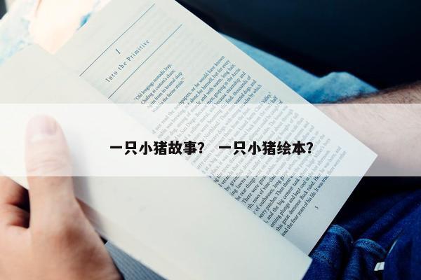 一只小猪故事？ 一只小猪绘本？
