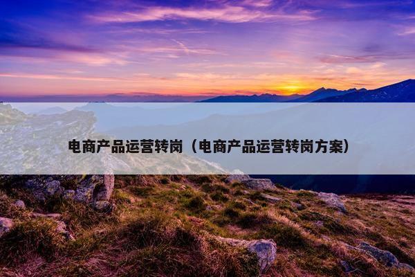 电商产品运营转岗（电商产品运营转岗方案）