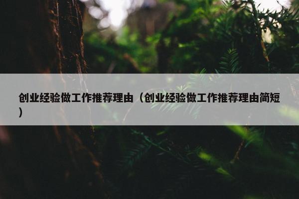 创业经验做工作推荐理由（创业经验做工作推荐理由简短）