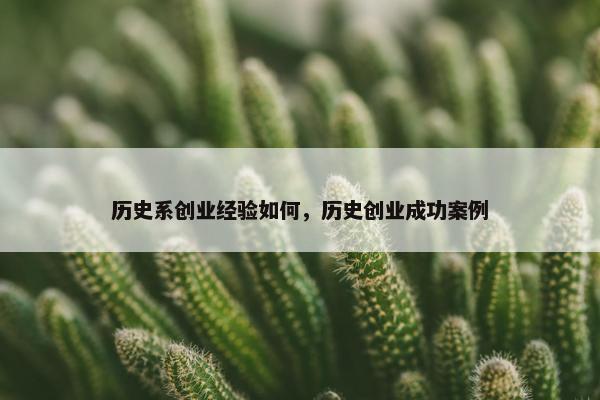 历史系创业经验如何，历史创业成功案例