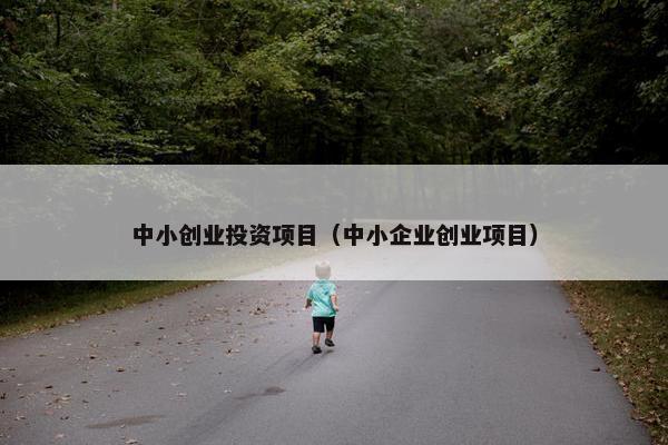 中小创业投资项目（中小企业创业项目）